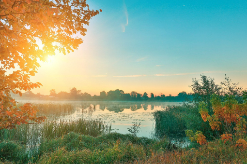 抖音小店保證金被扣除怎么辦?是什么原因?
 banner